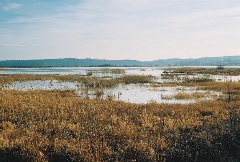 Івано-Франкове з panoramio.com - Ivano-Frankove