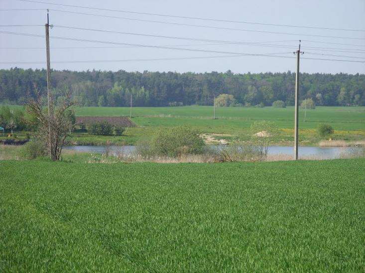 Буяни з panoramio.com - Буяни
