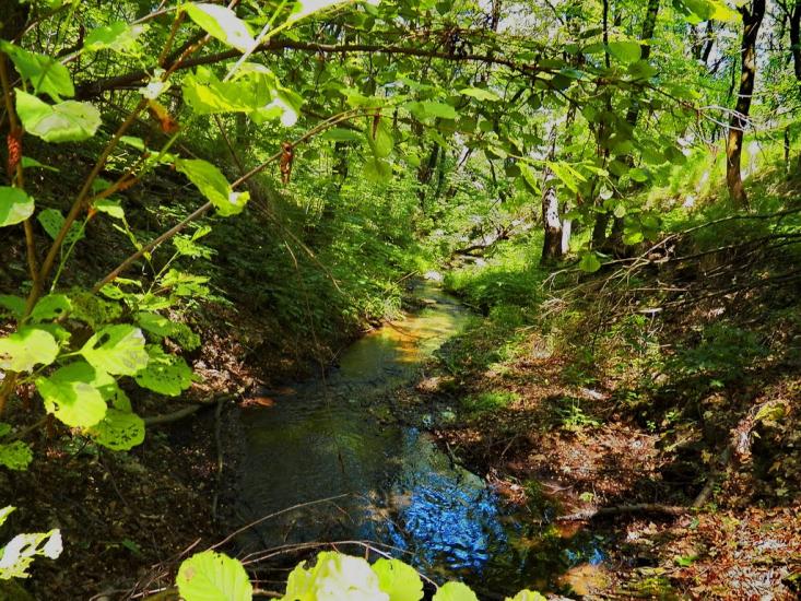 Данилове з panoramio.com - Danylove