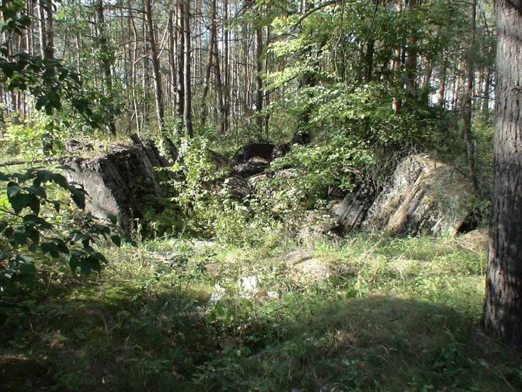 Гута-Межигірська з panoramio.com - Гута-Межигорская