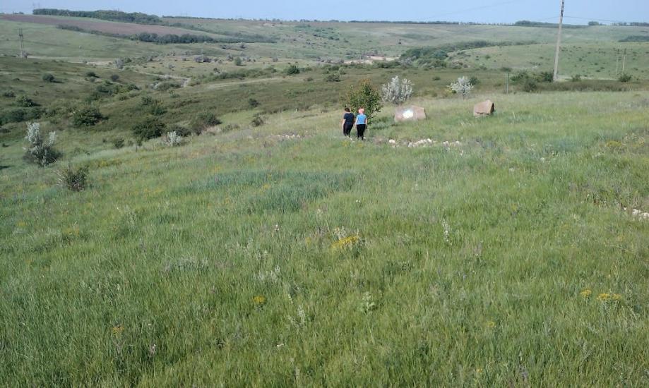 Рози Люксенбург з panoramio.com - Новое Шахово