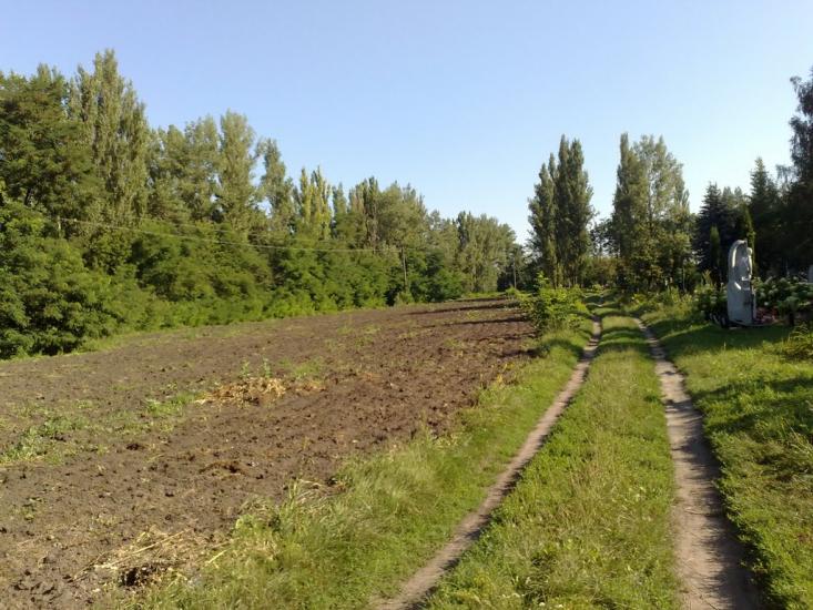 Пінчуки з panoramio.com - Пінчуки