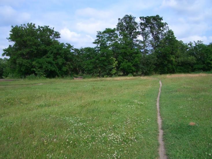 Алтинівка з panoramio.com - Алтинівка