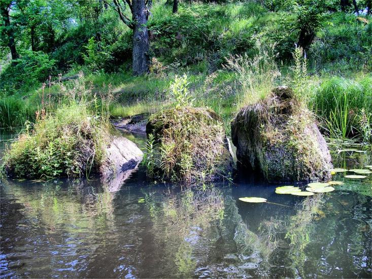 Струмок з panoramio.com - Струмок