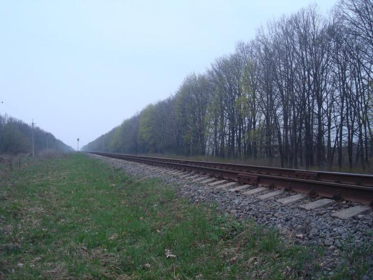 Пашківці з panoramio.com - Пашковцы