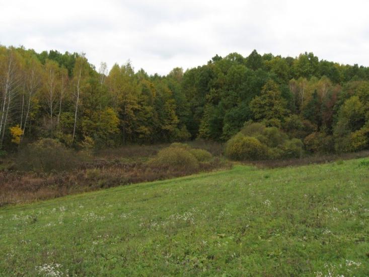 Старий Мерчик з panoramio.com - Старий Мерчик