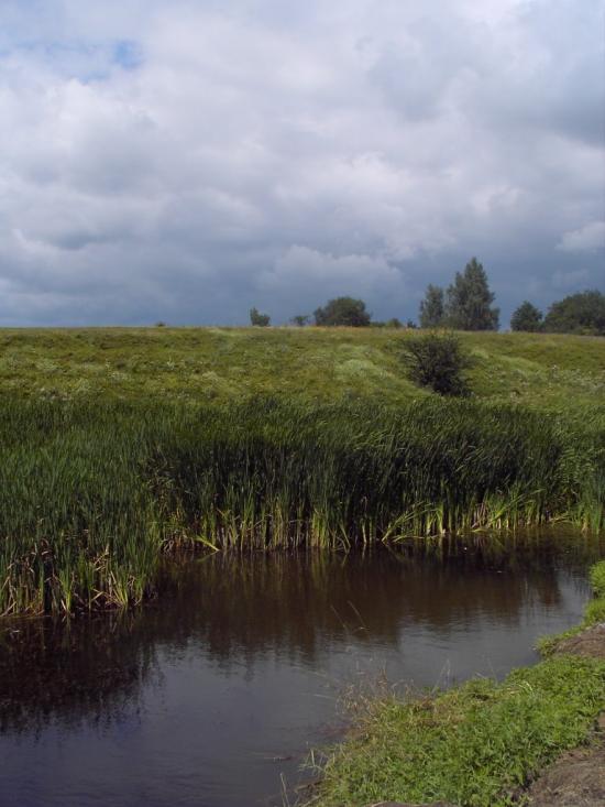 Мізяки з panoramio.com - Мізяки