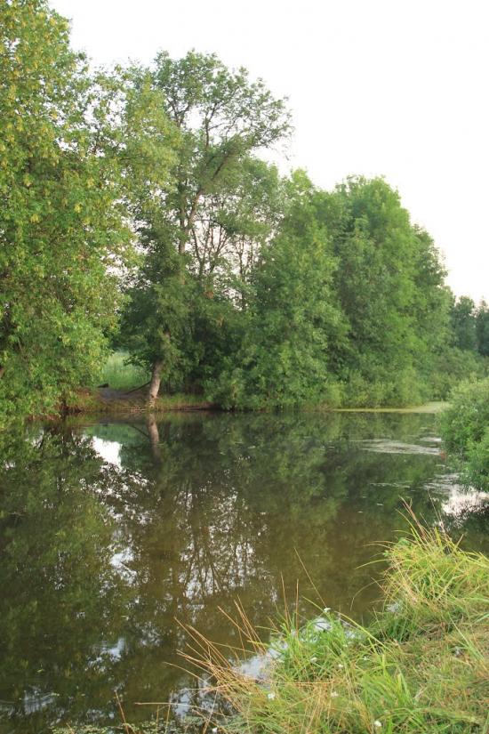 Деркачівка з panoramio.com - Деркачівка