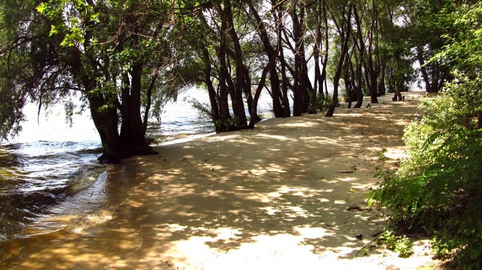 Недогарки з panoramio.com - Недогарки