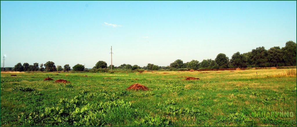 Піски з panoramio.com - Піски