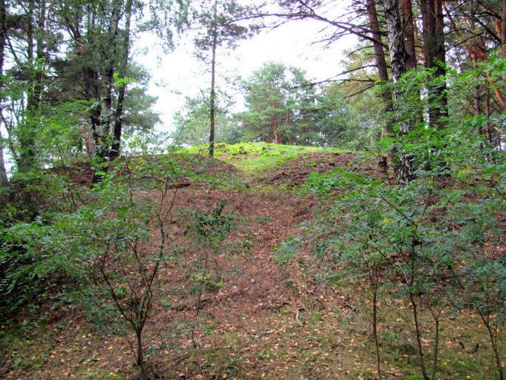 Костюхнівка з panoramio.com - Костюхнівка