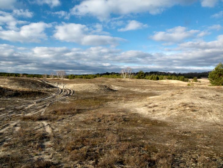 Кицівка з panoramio.com - Кицевка