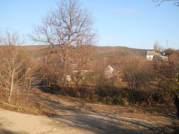 Піонерське з panoramio.com - Пионерское