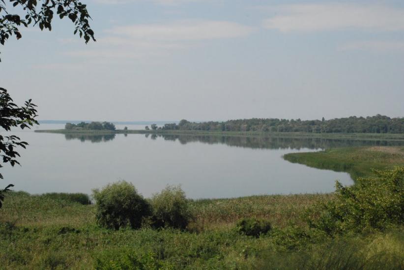 Світлогірське з panoramio.com - Светлогорское