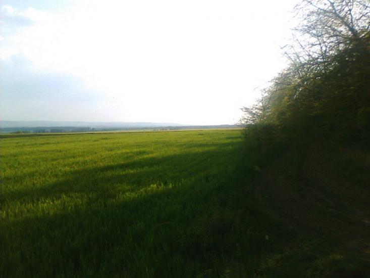 Ванчиківці з panoramio.com - Ванчиковцы