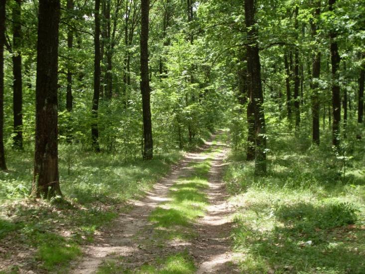 Маньківка з panoramio.com - Маньківка