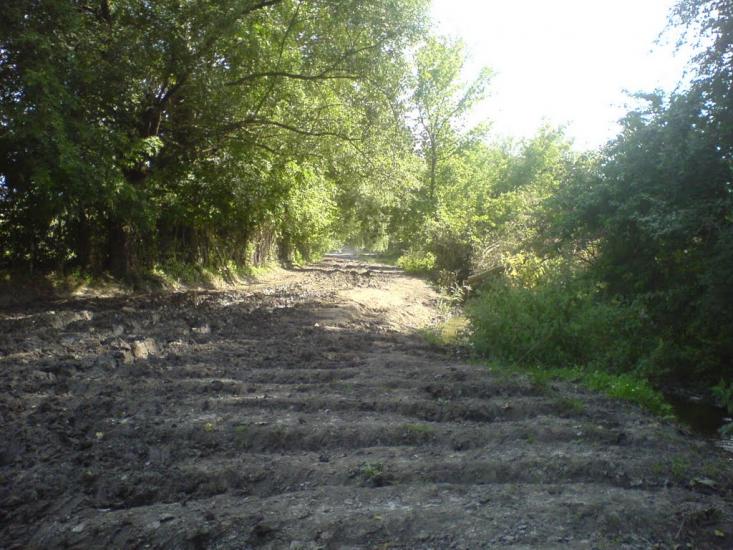 Кривичі з panoramio.com - Кривичі