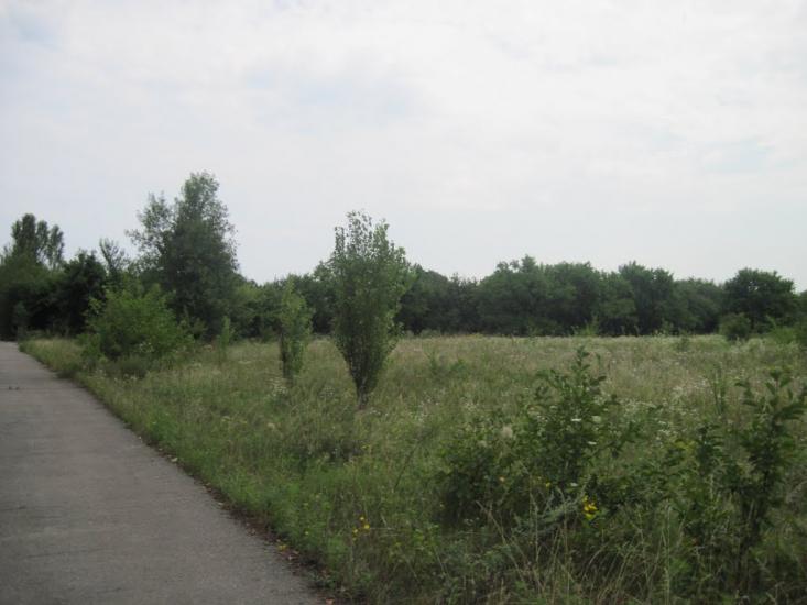 Павлиш з panoramio.com - Павлыш