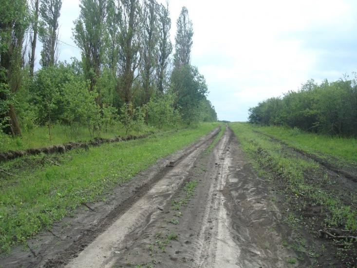 Стуфчинці з panoramio.com - Стуфчинцы