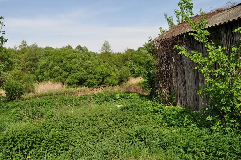 Смош з panoramio.com - Смош