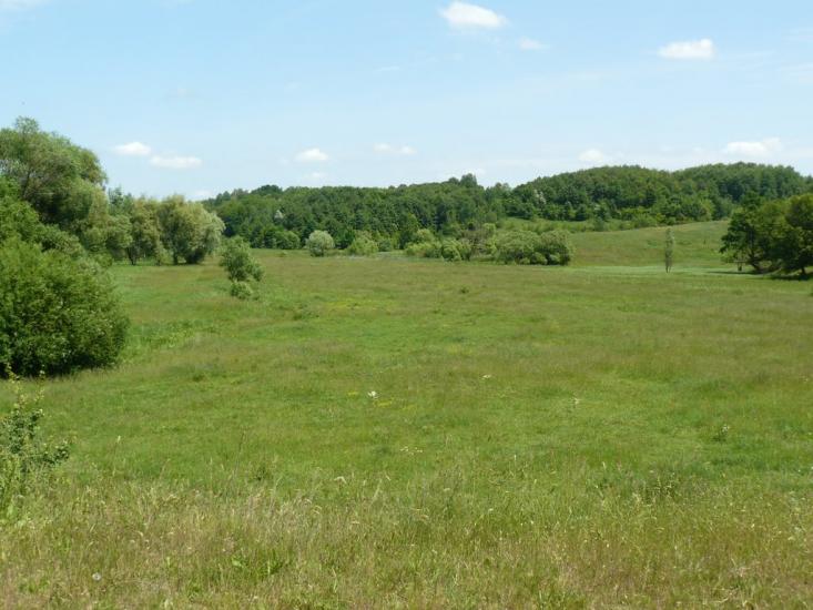 Сніжки з panoramio.com - Snizhky