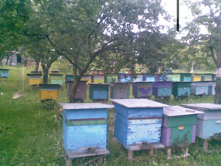 Нижня Апша з panoramio.com - Нижняя Апша