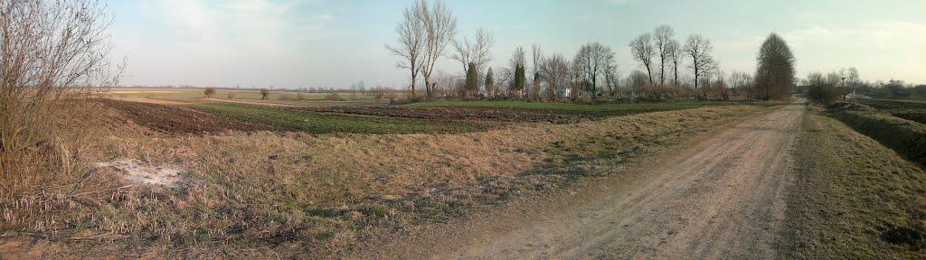 Пиняни з panoramio.com - Пыняны