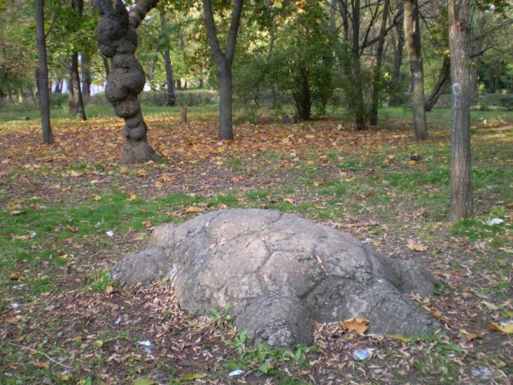 Орджонікідзе з panoramio.com - Орджоникидзе
