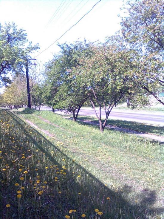 Згар з panoramio.com - Згар