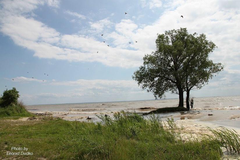 Пронозівка з panoramio.com - Пронозовка
