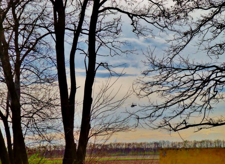 Гребінки з panoramio.com - Гребенки