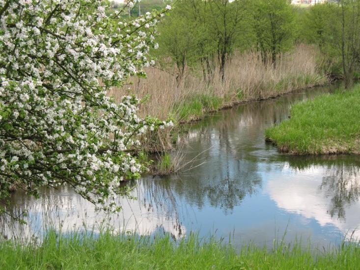 Великий Глибочок з panoramio.com - Великий Глубочек