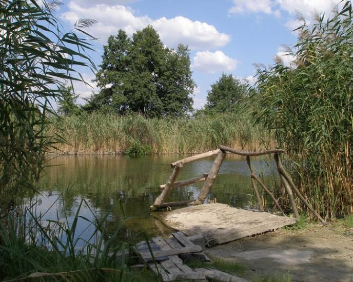 Литвинівка з panoramio.com - Литвиновка