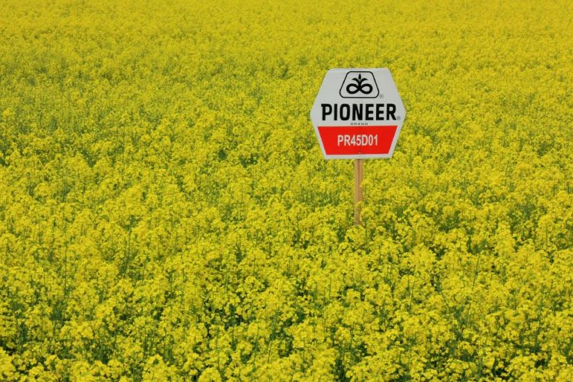 Підлисся з panoramio.com - Підлисся