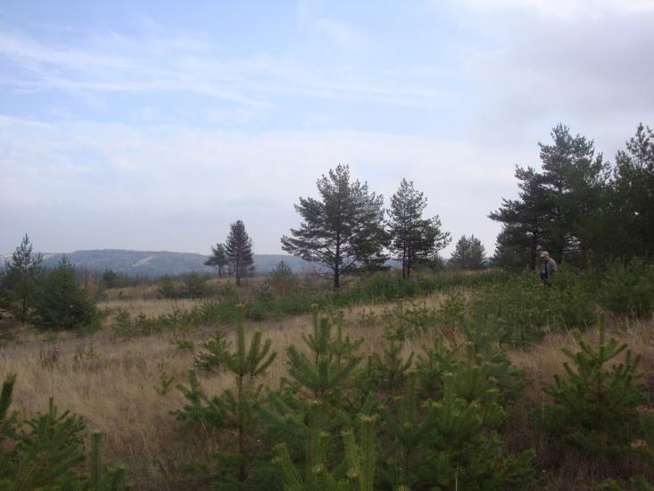 Пискунівка з panoramio.com - Pyskunivka