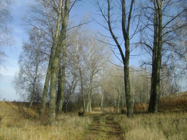 Садове з panoramio.com - Садове