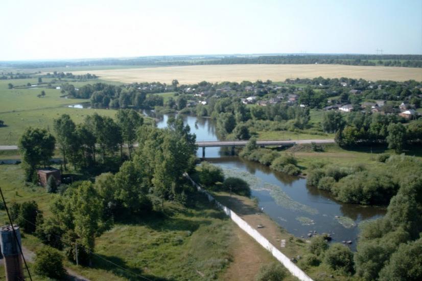 Сорока з panoramio.com - Сорока