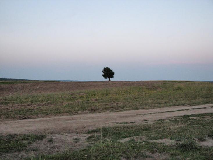 Стуфчинці з panoramio.com - Стуфчинцы