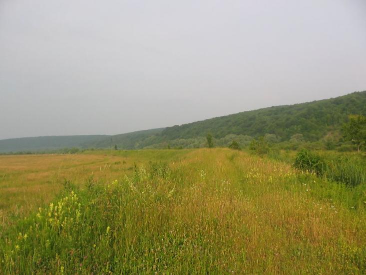 Сокіл з panoramio.com - Сокіл