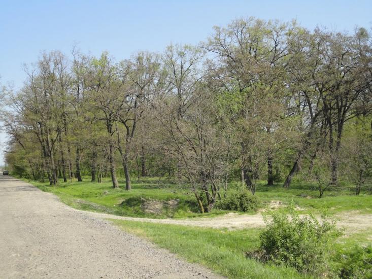 Вербовець з panoramio.com - Verbovets