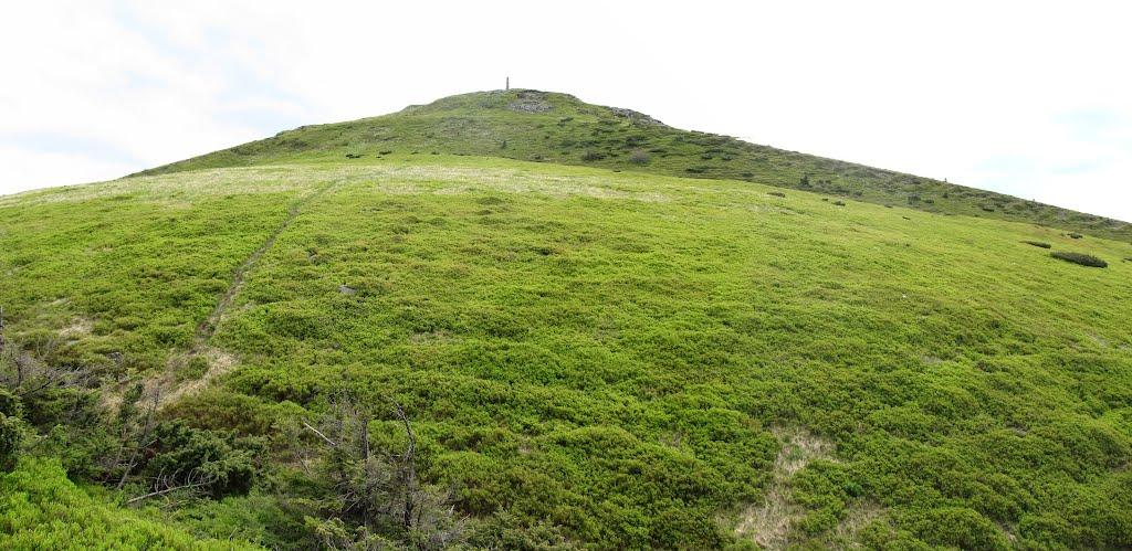 Щербовець з panoramio.com - Щербовец
