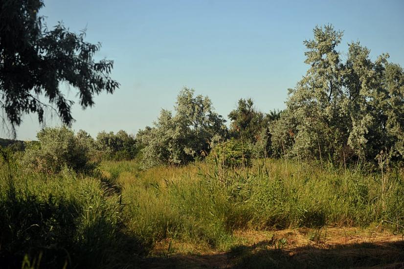 Олександро-Калинове з panoramio.com - Oleksandro-Kalynove