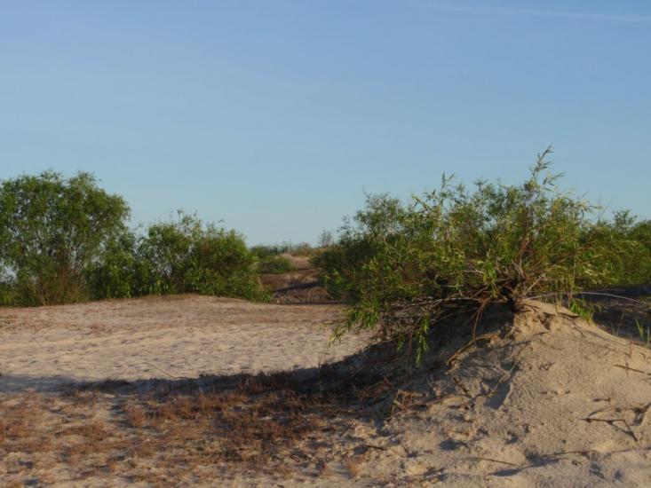 Неданчичі з panoramio.com - Неданчичи