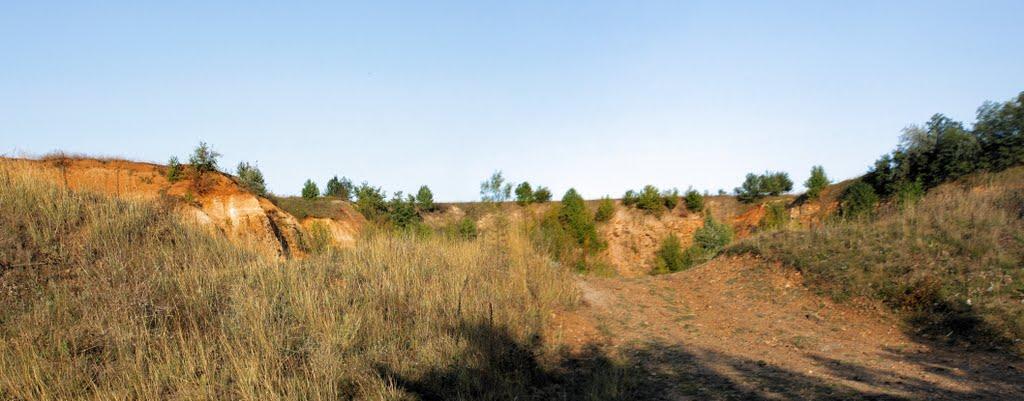Велика Киріївка з panoramio.com - Большая Киреевка