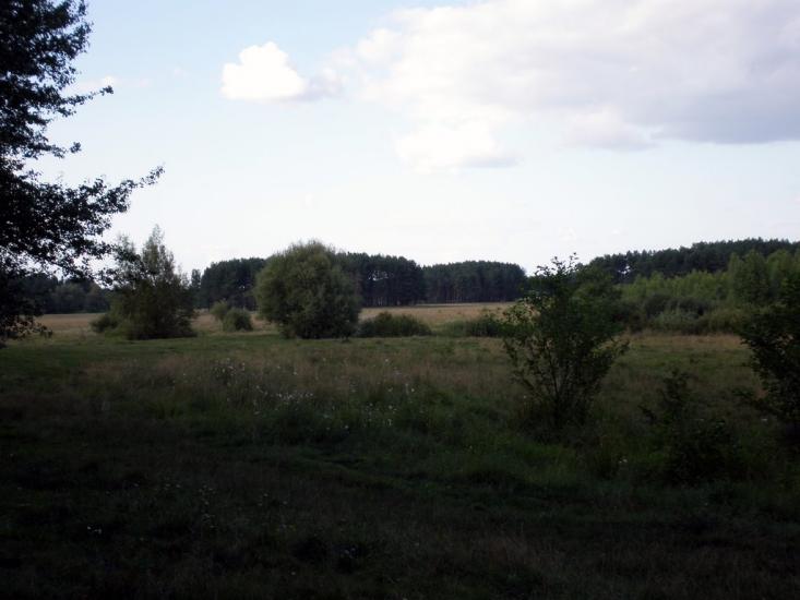 Облапи з panoramio.com - Oblapy
