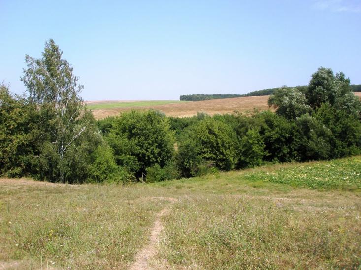 Обозівка з panoramio.com - Обозівка