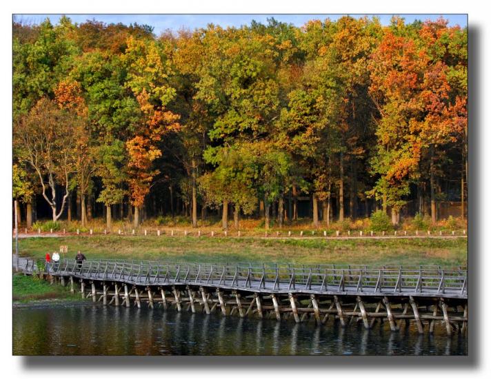 Комсомольський з panoramio.com - Графское