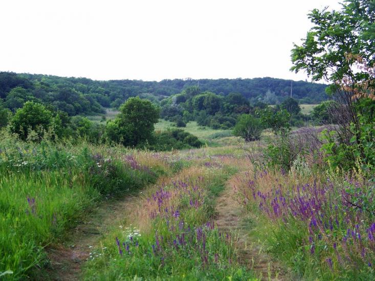 Валове з panoramio.com - Софиевка