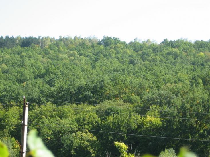 Шершенці з panoramio.com - Shershentsi