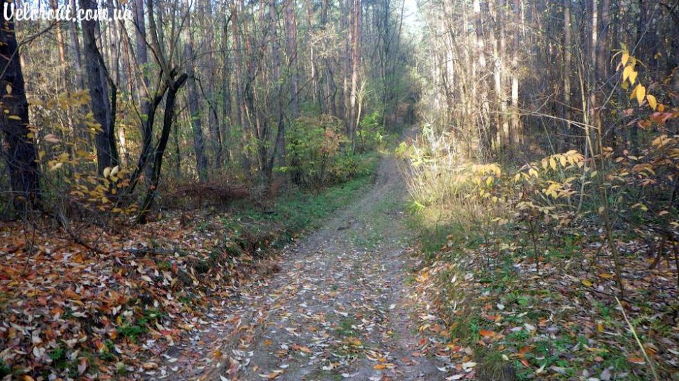 Княжичі з panoramio.com - Княжичи